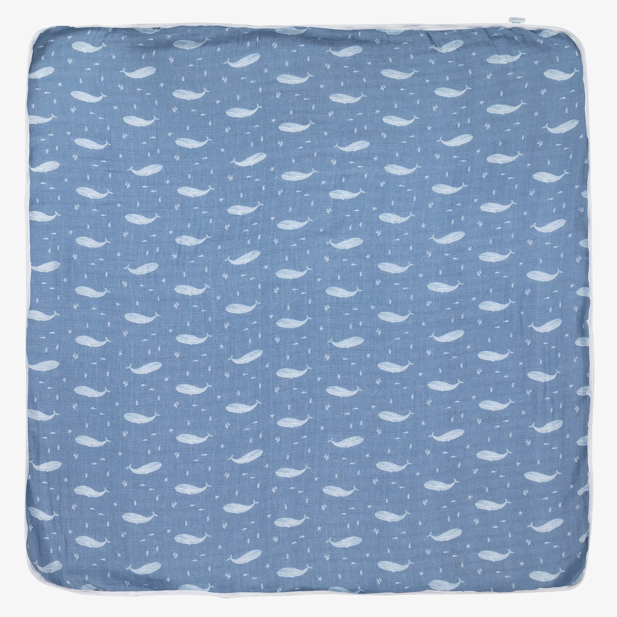 Anais baby hot sale blanket