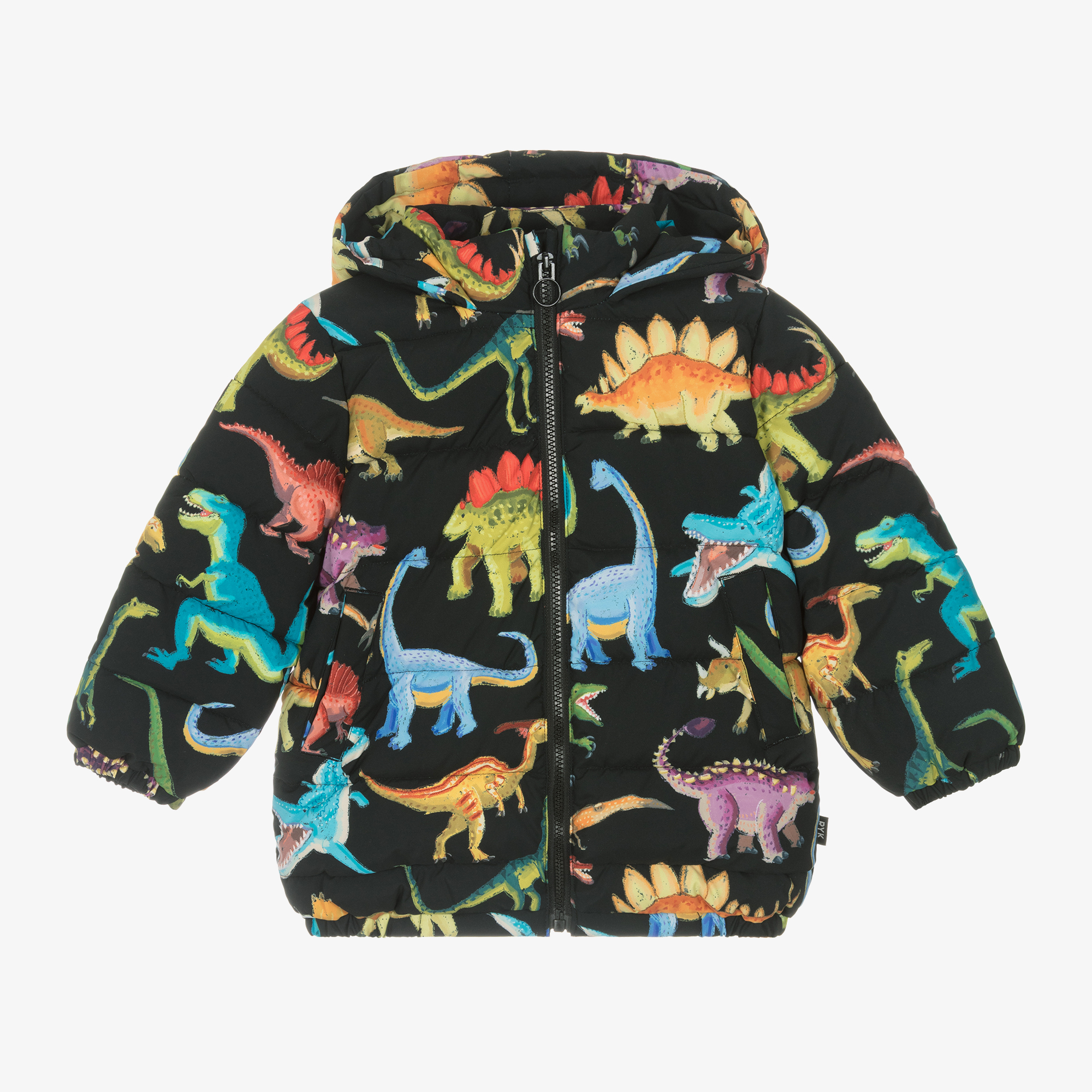 Baby dinosaur coat sale