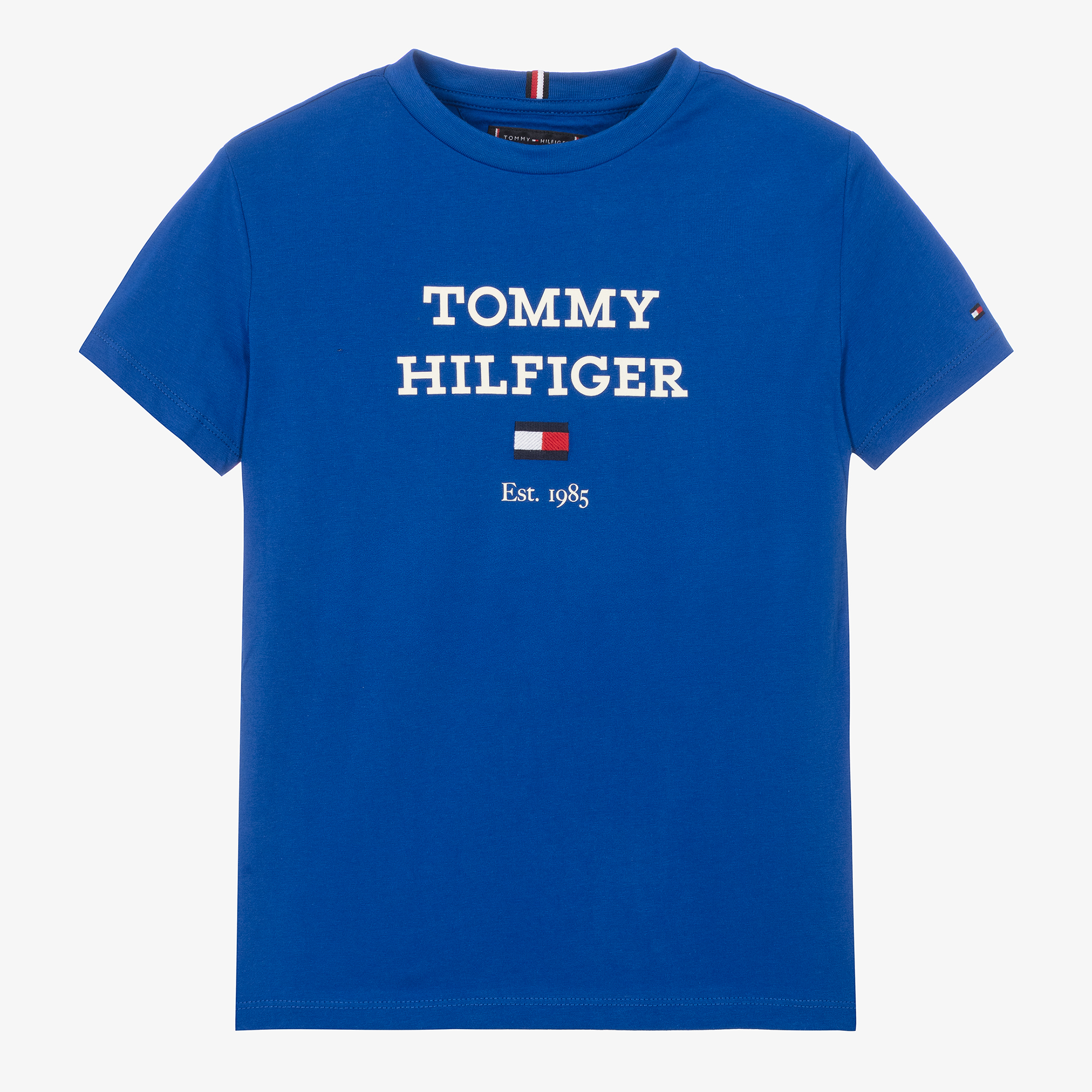 tommy hilfiger boys t shirts